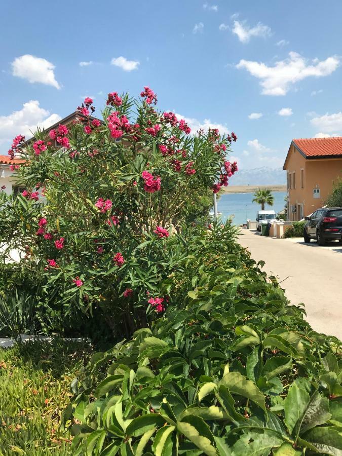 Apartmani Darija Vir Eksteriør bilde